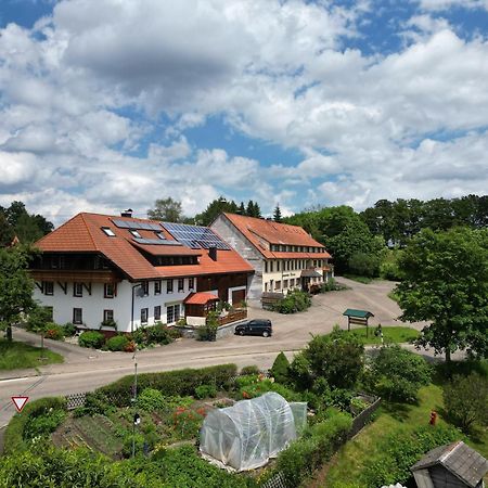 Haus Schlageter Apartment Dachsberg im Schwarzwald ภายนอก รูปภาพ