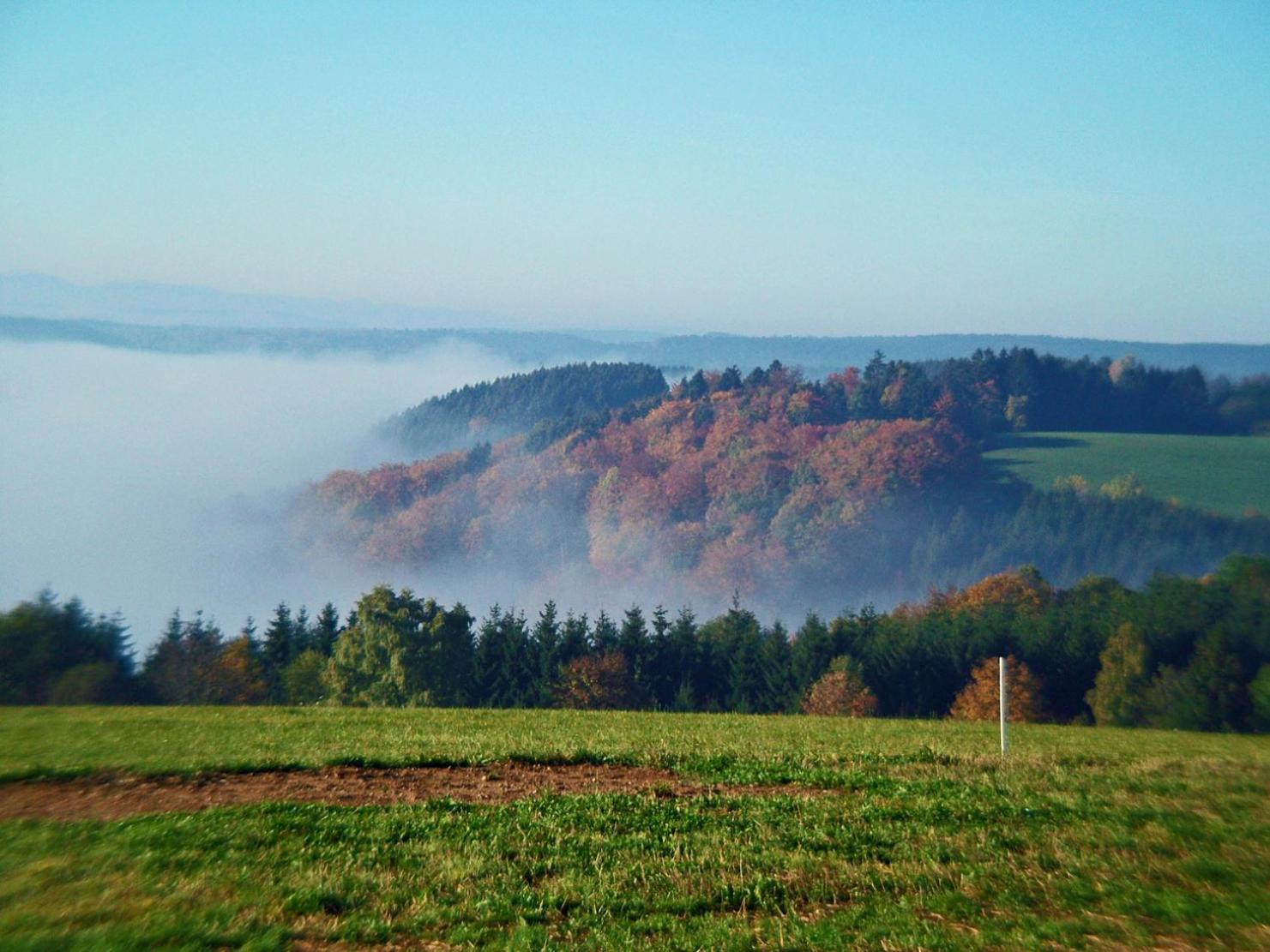 Haus Schlageter Apartment Dachsberg im Schwarzwald ภายนอก รูปภาพ