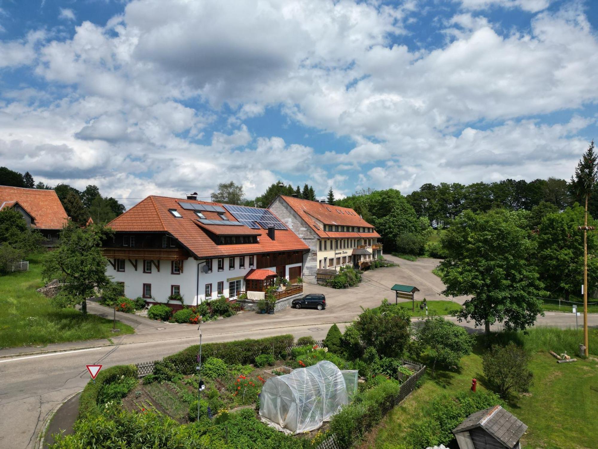 Haus Schlageter Apartment Dachsberg im Schwarzwald ภายนอก รูปภาพ