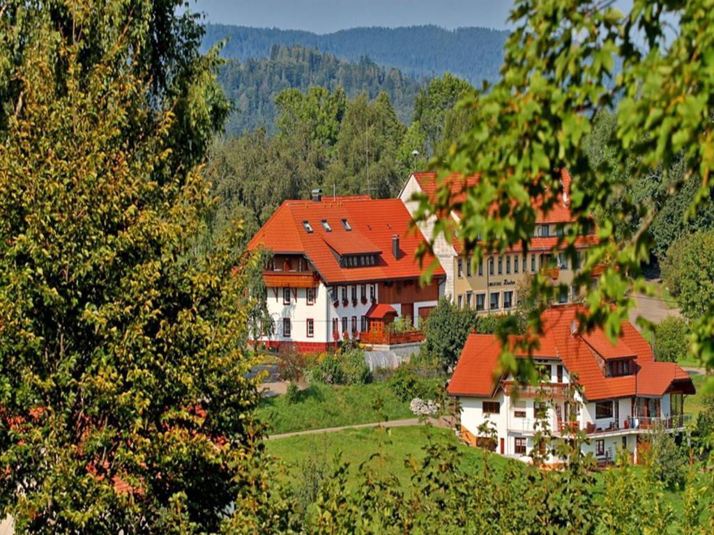 Haus Schlageter Apartment Dachsberg im Schwarzwald ภายนอก รูปภาพ